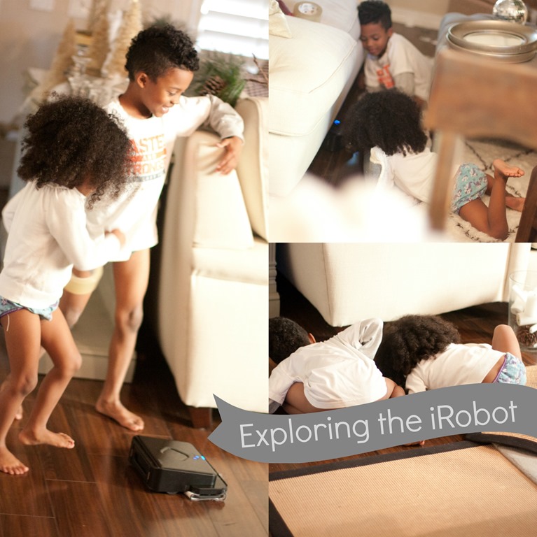 iRobot iRobot