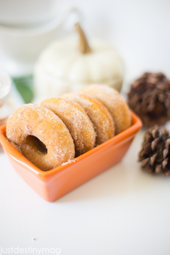 Pumpkin Donuts with Cinnamon and Sugar_-2
