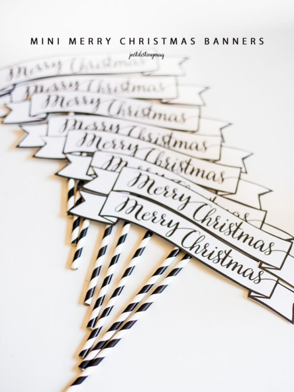 Mini " Merry Christmas" Banners - Image 5