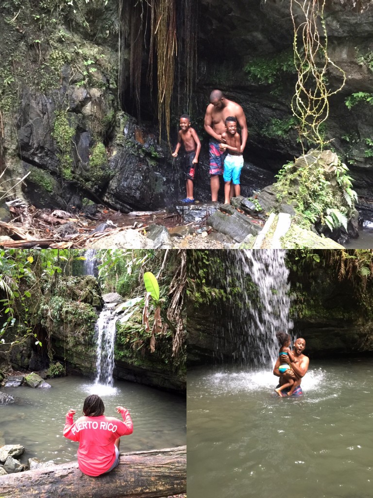 Rain forest In Puerto Rico