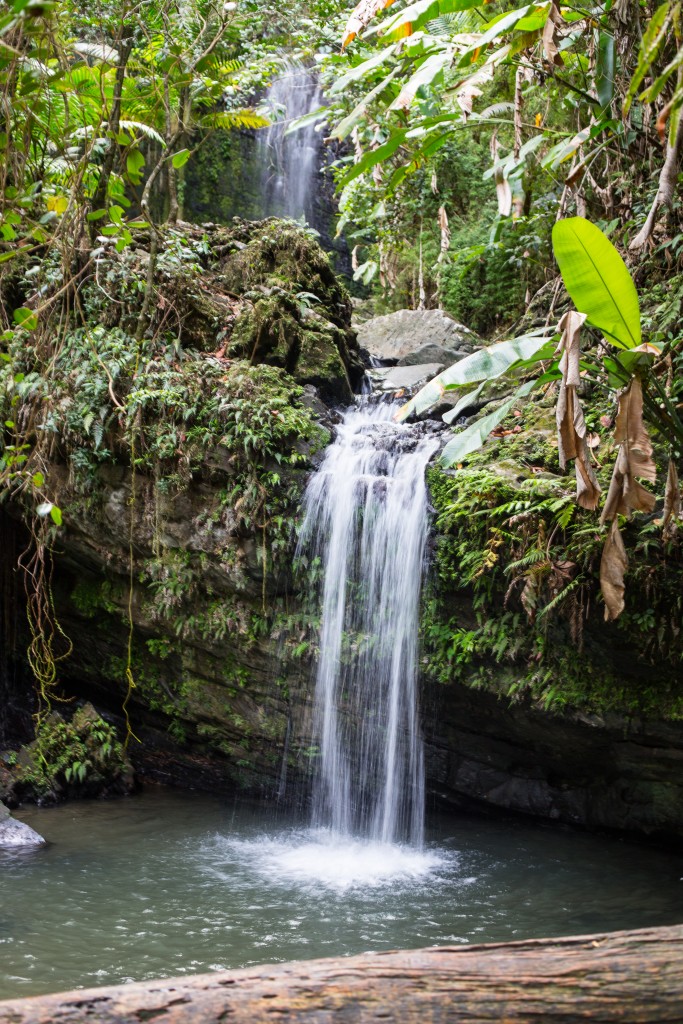 Puerto Rico 2015-24