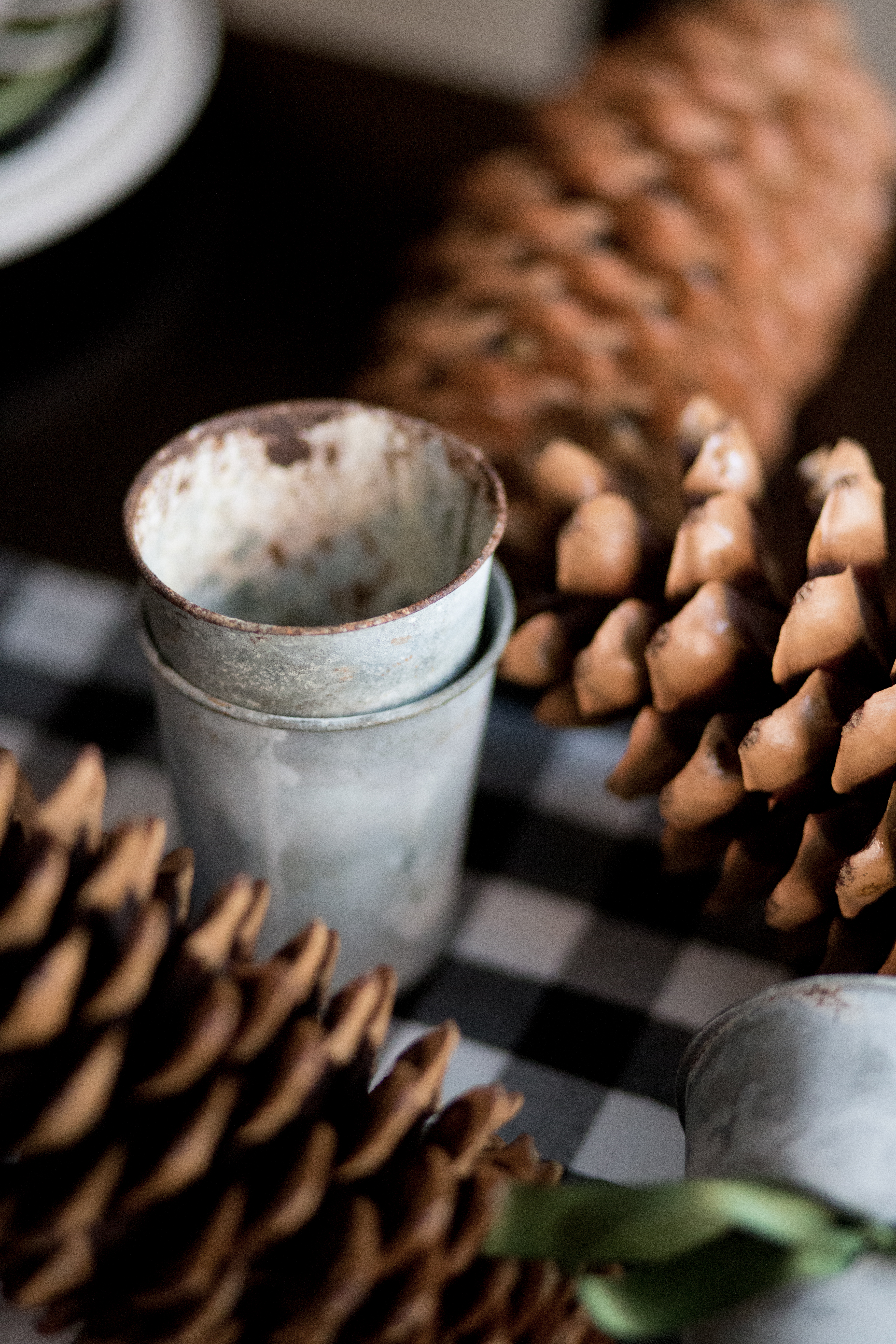 DIY Pinecone Trees Just Destiny Mag-2