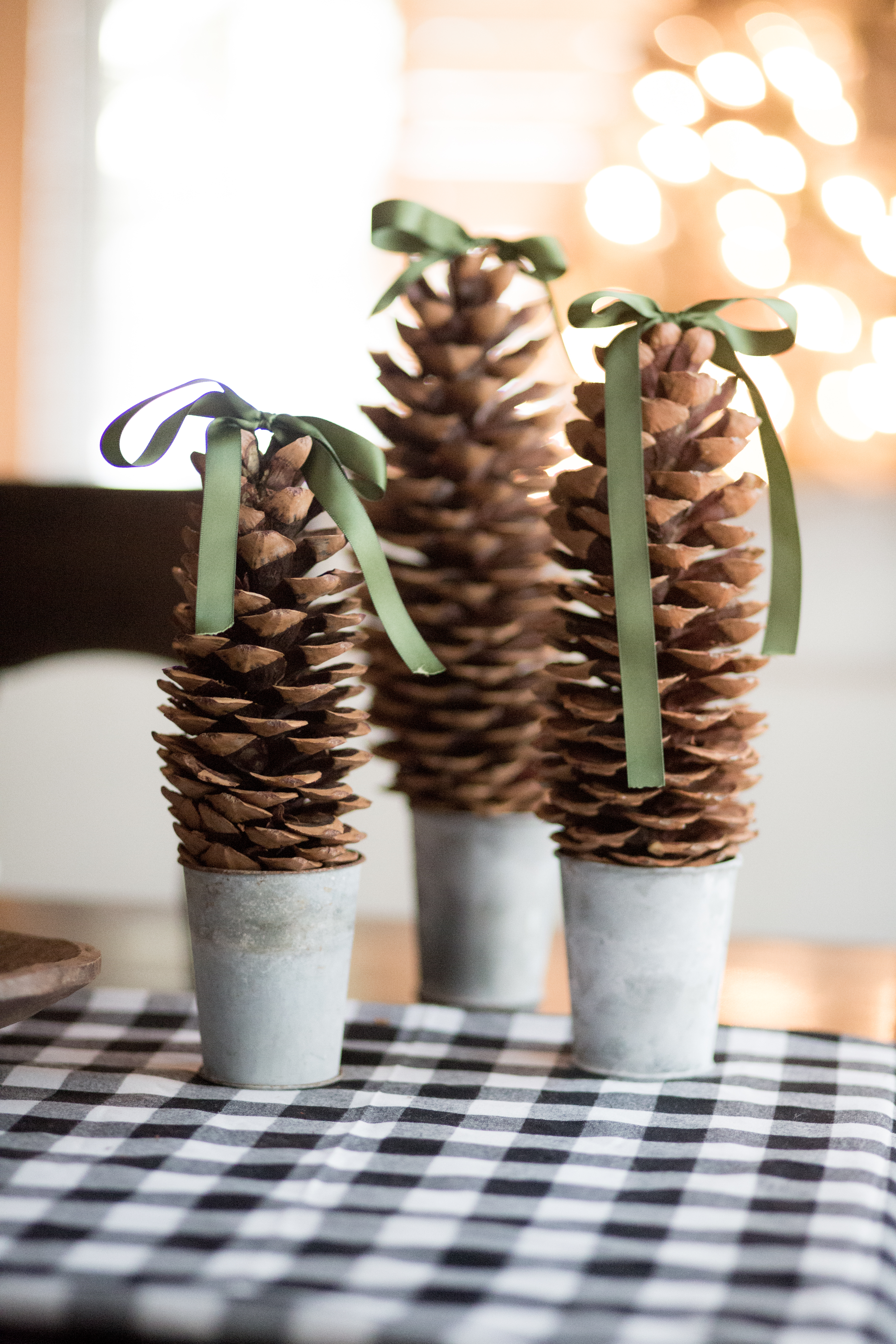 MEAL PREP PINECONE LARGE 2 – Yummii Yummii