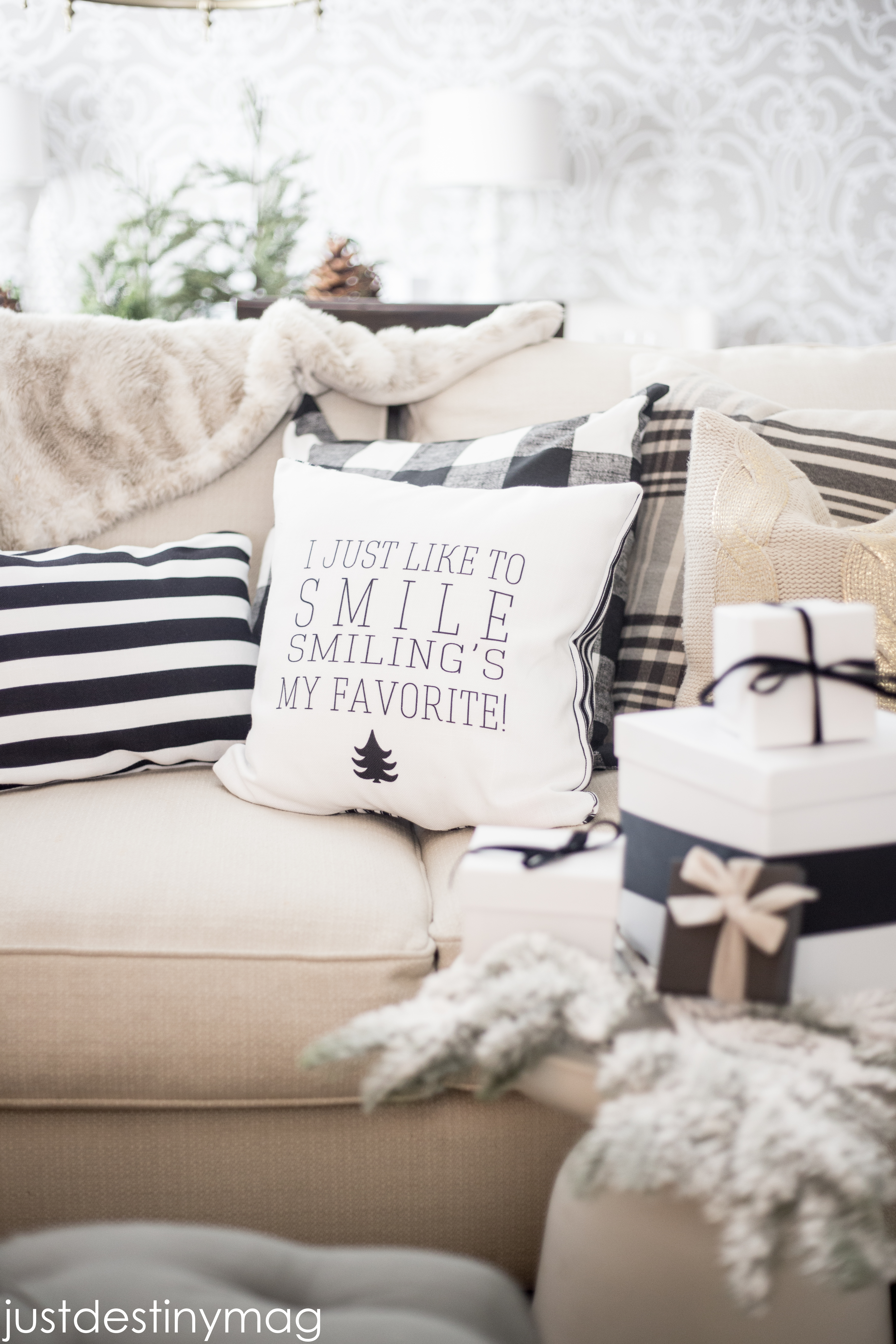 Shutterfly Pillows and Home Decor-10