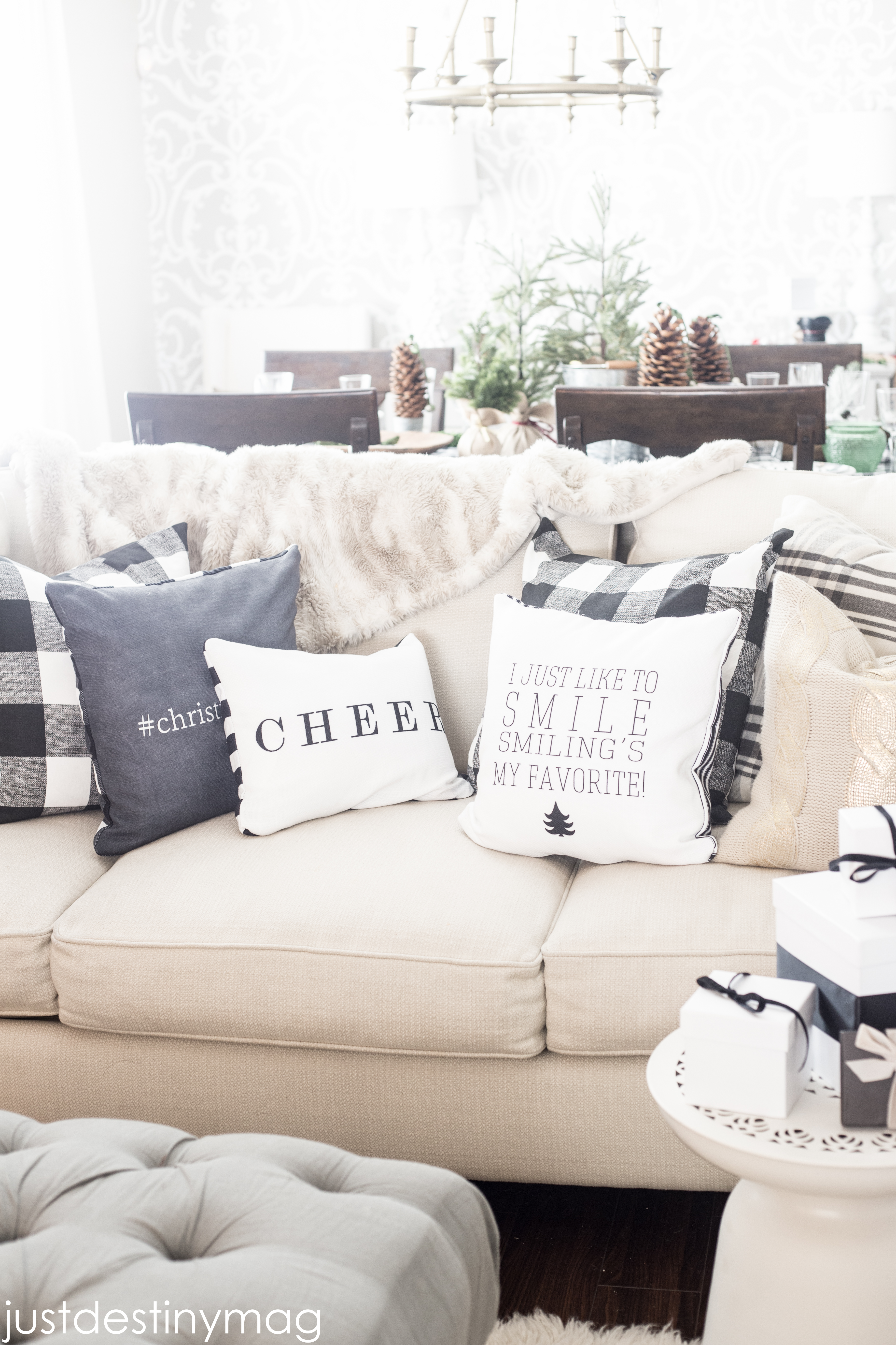 Shutterfly Pillows and Home Decor-3