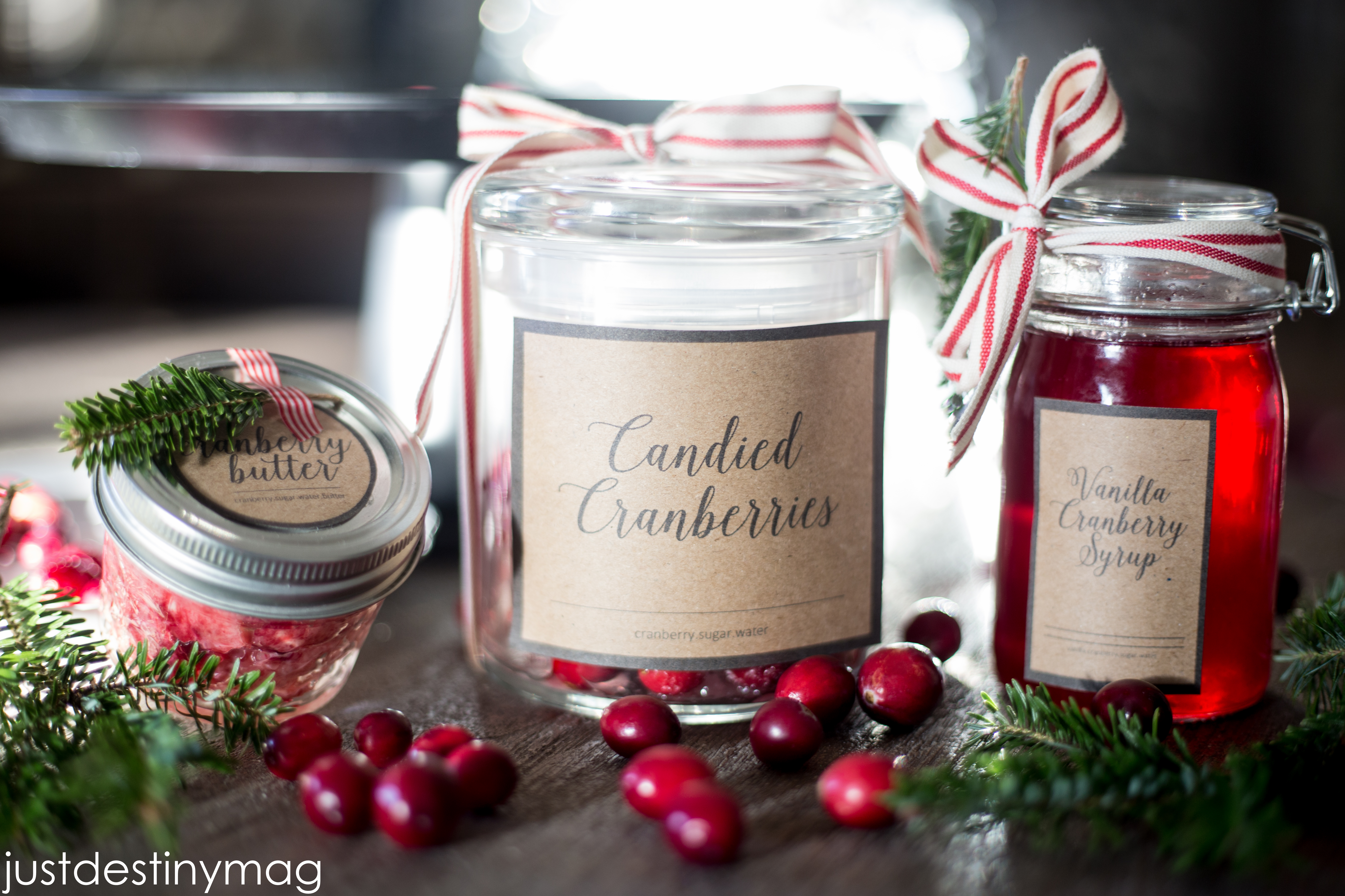 Cranberry Gifts- with Vanilla-3