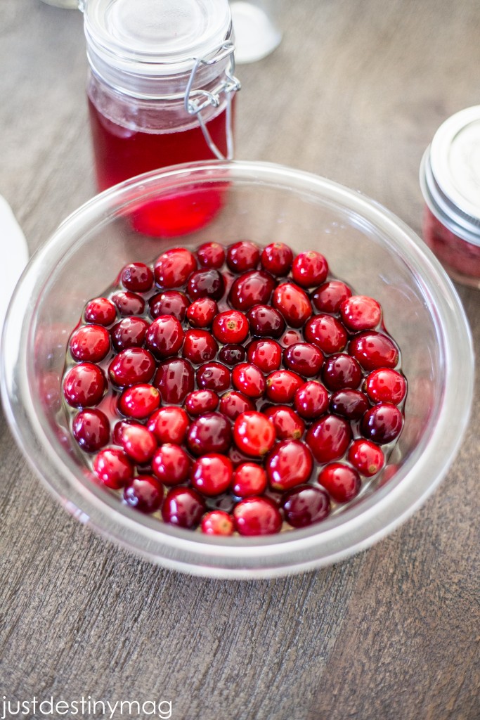 Cranberry Recipe and Gift Ideas for the Holidays -Just Destiny Mag-14