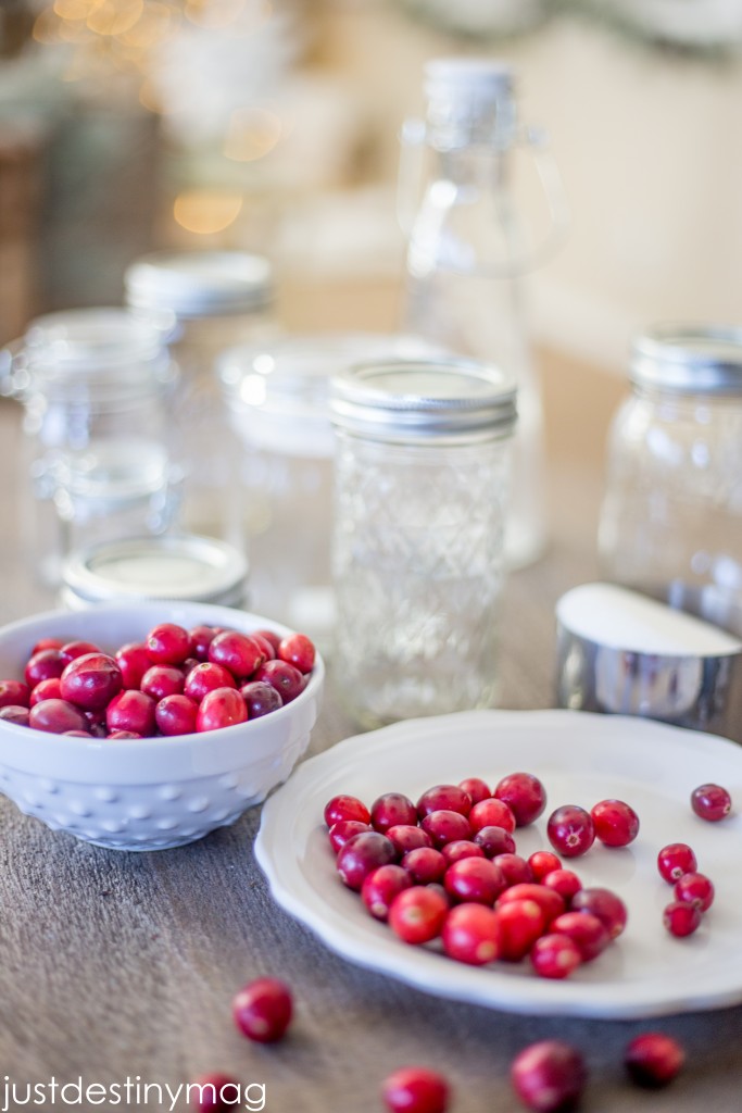 Cranberry Recipe and Gift Ideas for the Holidays -Just Destiny Mag-2