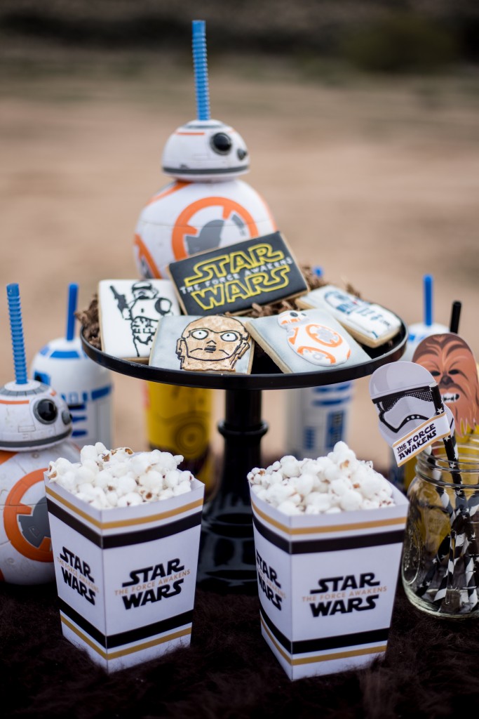 The Force Awakens Birthday Party_-16