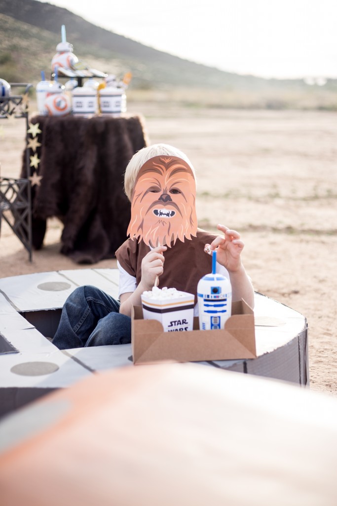 The Force Awakens Birthday Party_-53