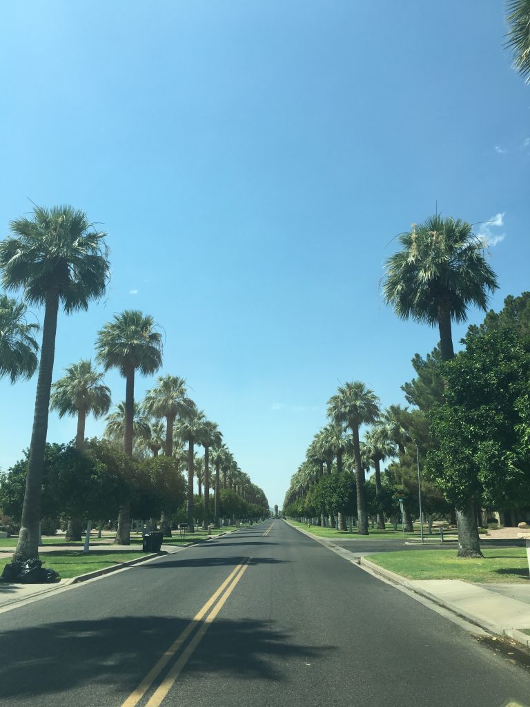 A shot of our little town lined with palm trees. Wigwam 