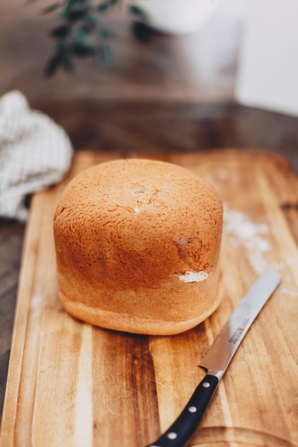 Hamilton Beach Breadmaker