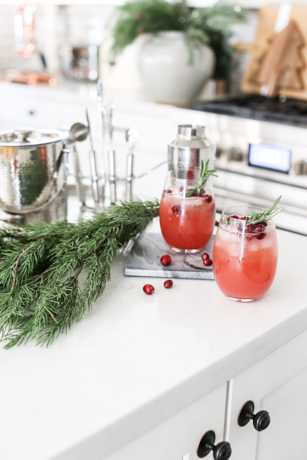 Cranberry Christmas Mocktail 