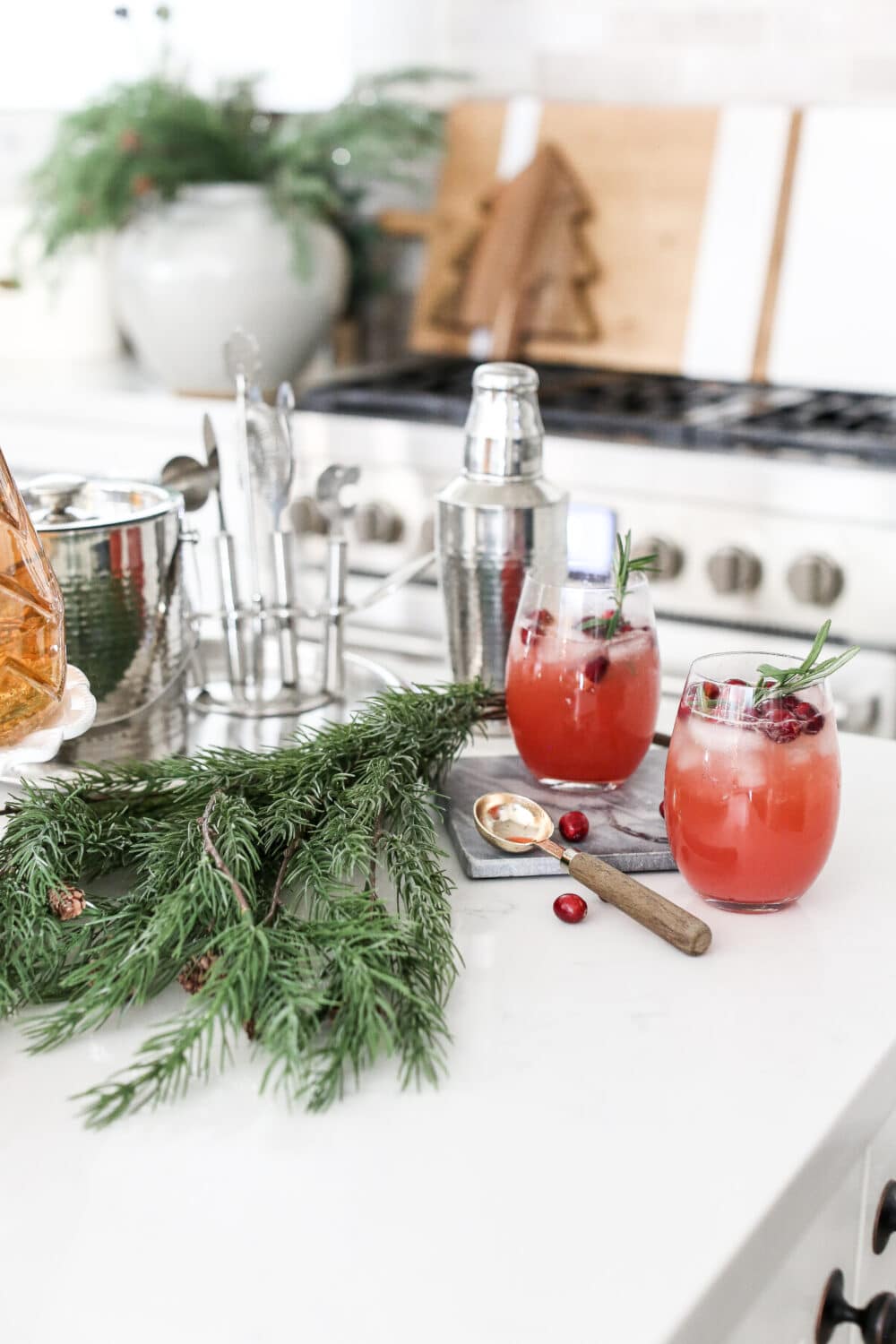 Mocktails with Cranberries 