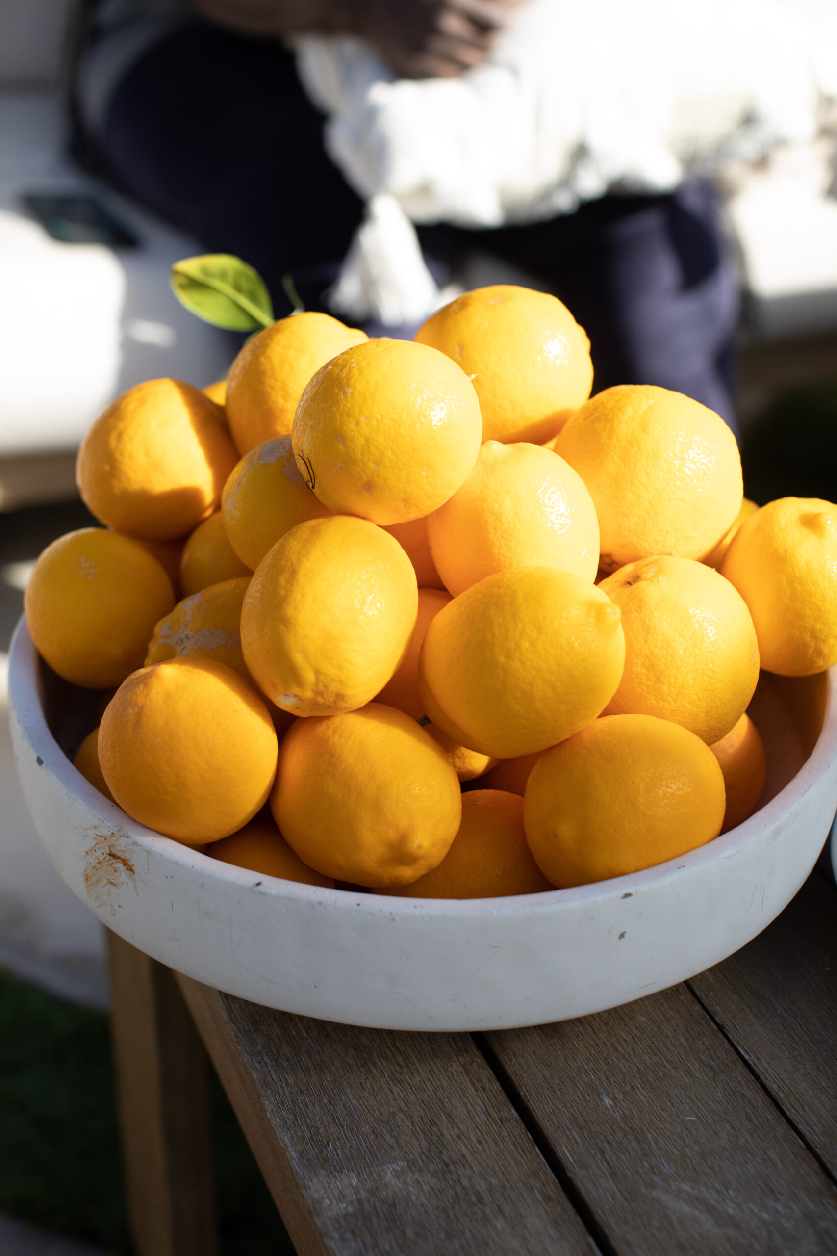 Lemon Harvest and Recipe Ideas