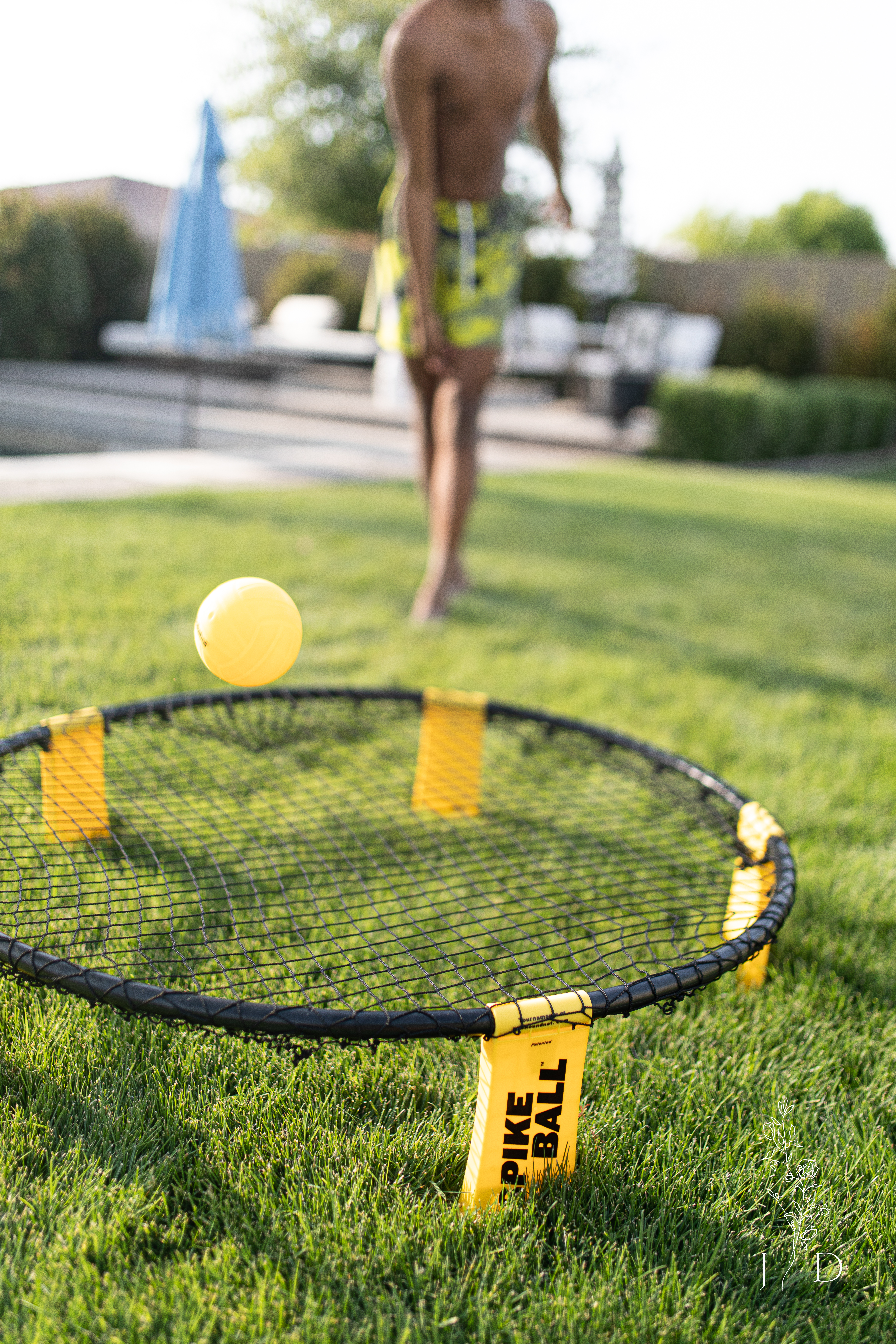 Spikeball net and ball